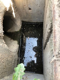 Imatge pels mitjans: Intervenció als embornals contra el mosquit tigre